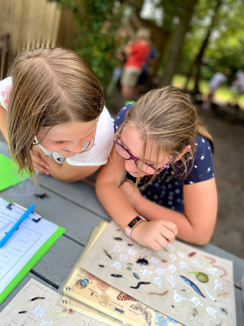 Groep 4: op zoek naar kriebelbeestjes