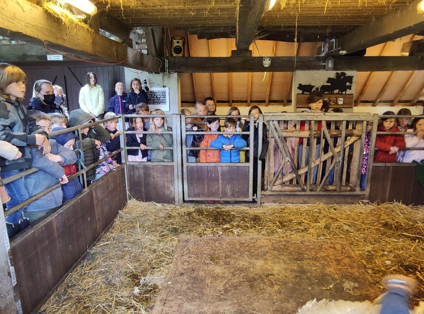 Groep 2: Op bezoek bij de schaapscheerder