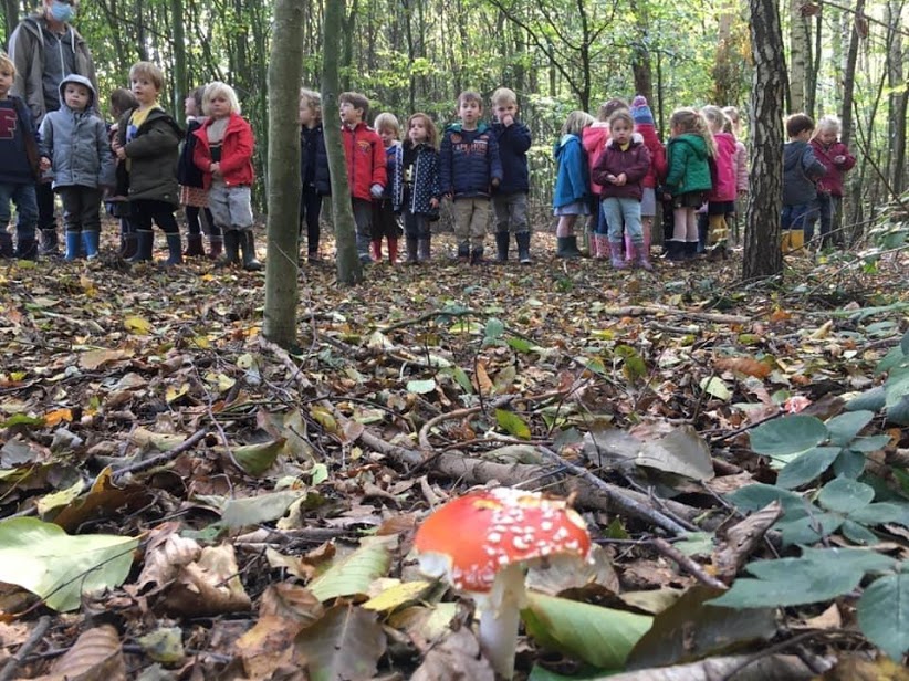 Nellie-klas: "herfst"