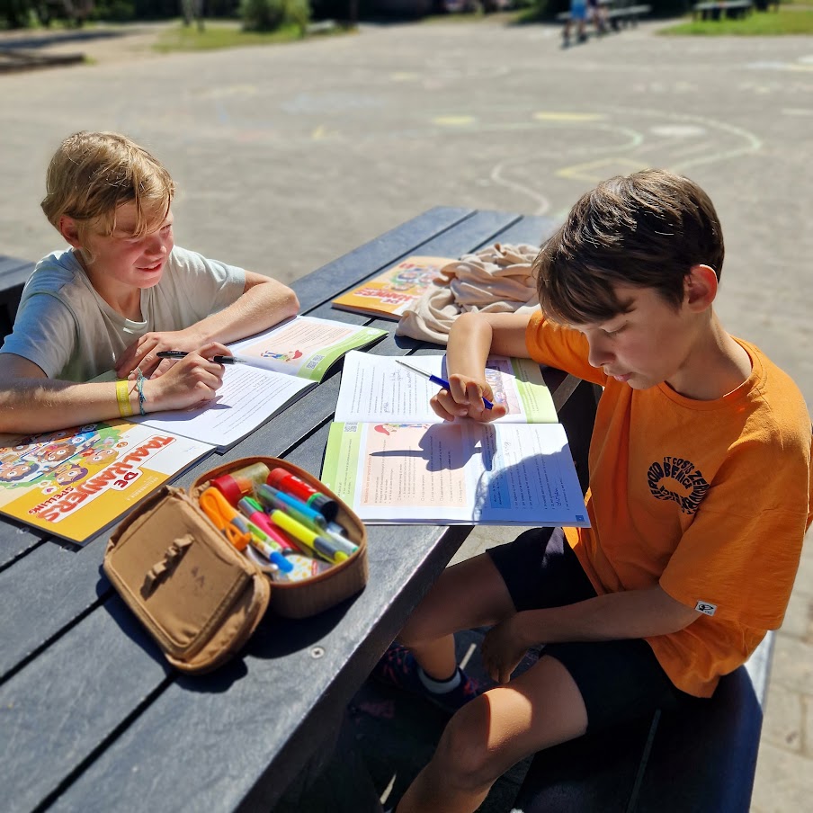 Groep 6: Genieten van de zon en werken? Het kan in Paalbos. 